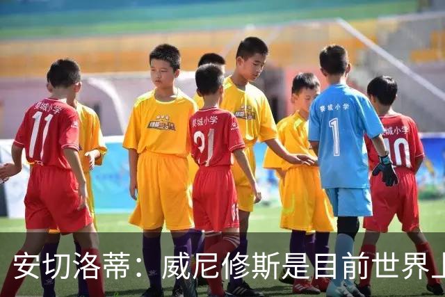 安切洛蒂：威尼修斯是目前世界上最具决定性球员